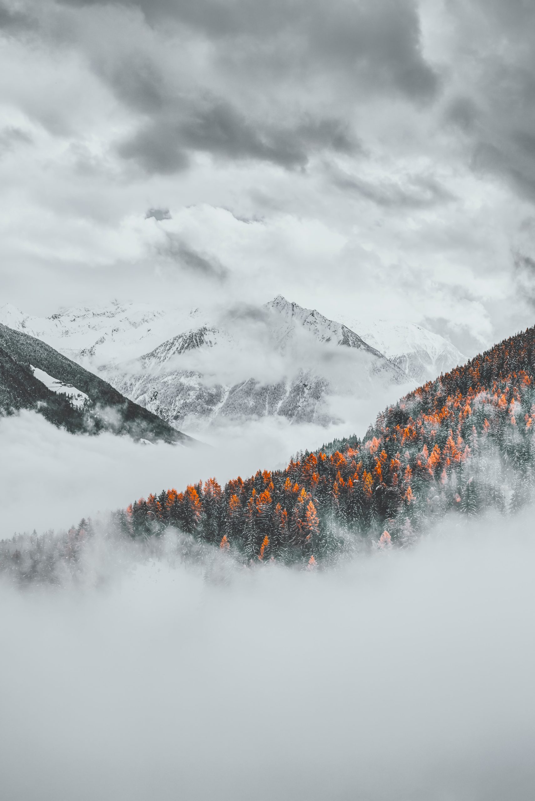 Himalaistka z Chorzowa chce zdobyć K2