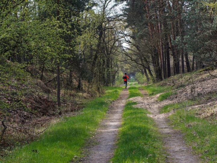 Zagadkowe odkrycie w lesie: spacerowicz natknął się na ludzkie szczątki