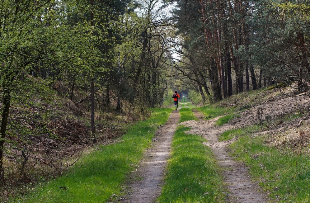 Zagadkowe odkrycie w lesie: spacerowicz natknął się na ludzkie szczątki