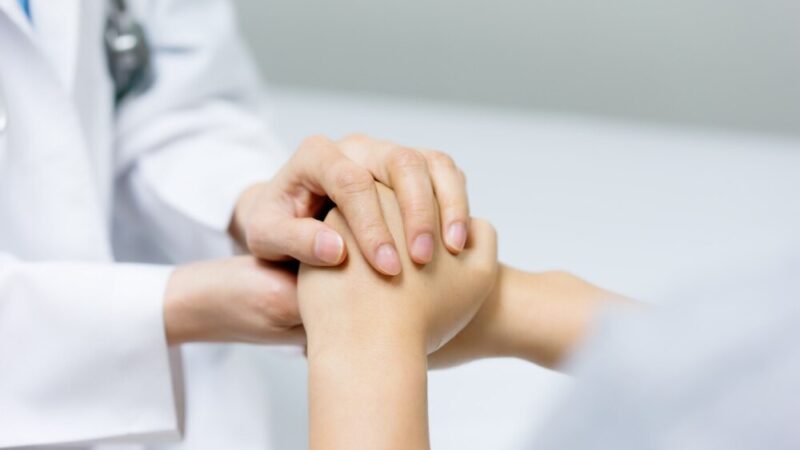 Labradory w chorzowskim szpitalu: jak psy terapeutyczne wspierają leczenie pacjentów