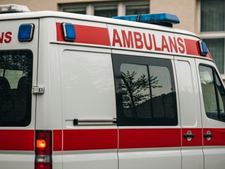 Policjanci ratują gołębia z ulicy: Małe stworzenie w potrzebie otrzymuje pomoc i opiekę
