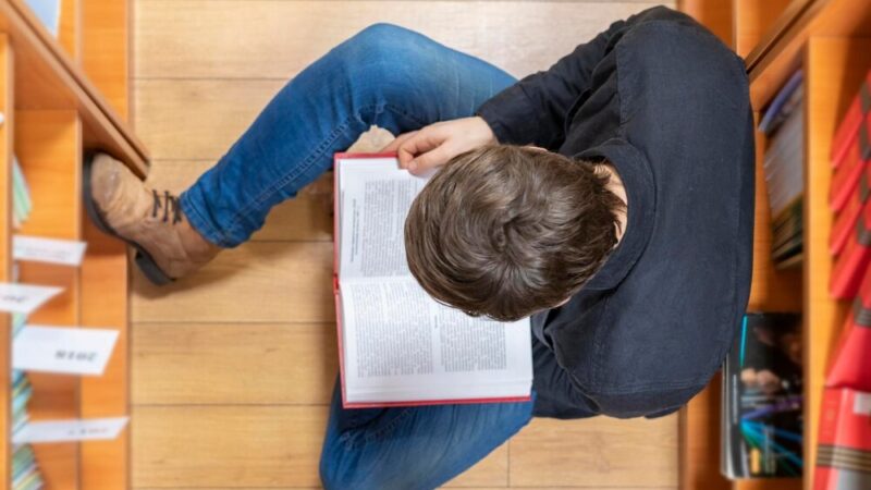 2,3 mln zł na edukację klimatyczną w siemianowickich szkołach