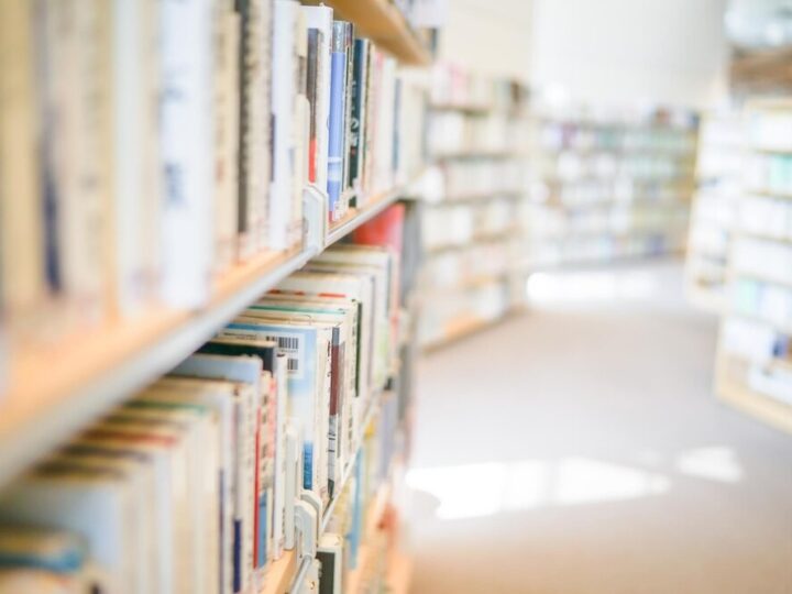 Chorzowska biblioteka świętuje Dzień Pluszowego Misia z radością i kreatywnością