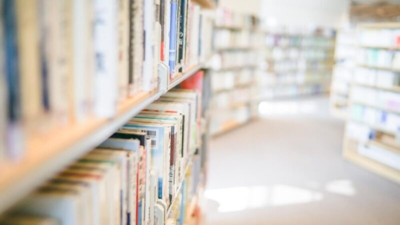 Chorzowska biblioteka świętuje Dzień Pluszowego Misia z radością i kreatywnością