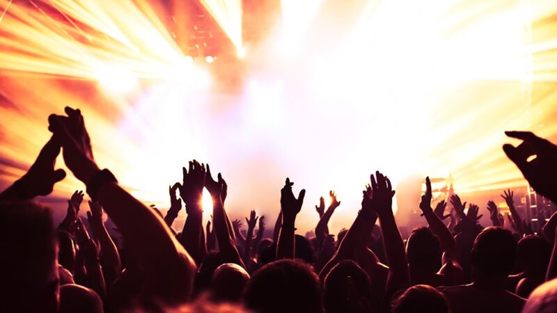 Kulturalny dzień w Gliwicach: odkryj palmiarnię, zamek i teatr