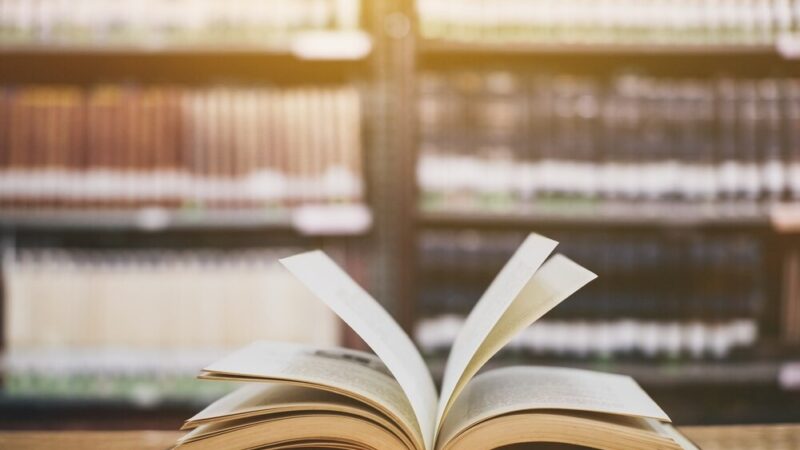 Świąteczne inspiracje w bibliotece: choinka, misie i twórcze kartki!