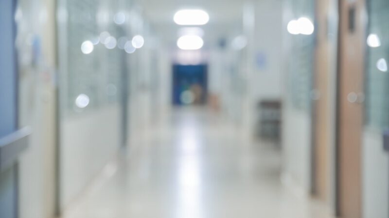 EkoChorzów: Odkryj, jak dbać o zdrowe powietrze w swoim otoczeniu