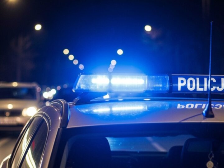 Bajkowe karty kolekcjonerskie wciągają w przestępczy świat