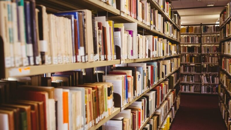 Mężczyźni w bibliotece: pasje modelarskie i styl życia