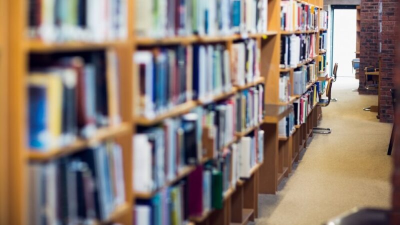 Męska elegancja: Krawaty w bibliotece dla każdego!