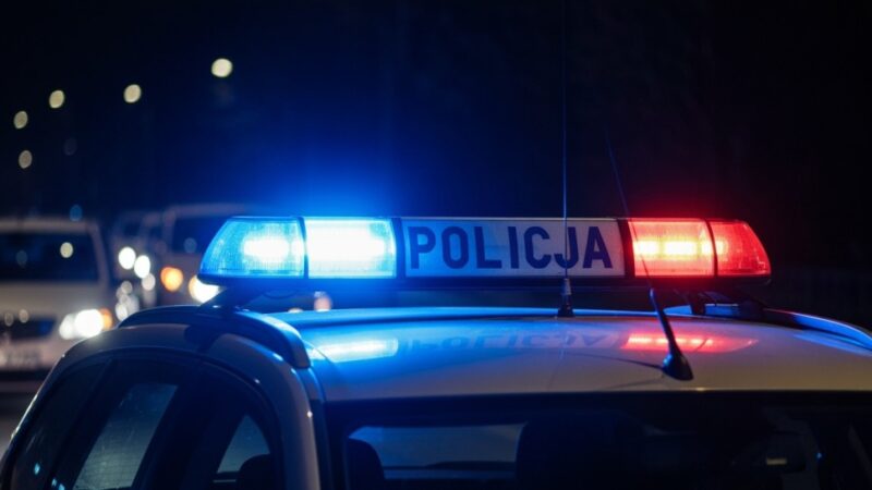 Areszt dla sprawcy brutalnego rozboju na 82-latce w Jaworznie