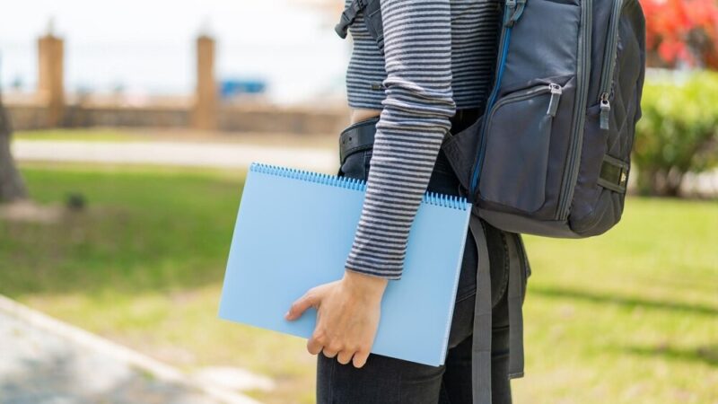 Nowoczesne przedszkole w Świętochłowicach: 250 miejsc dla dzieci i wsparcie dla Lipin