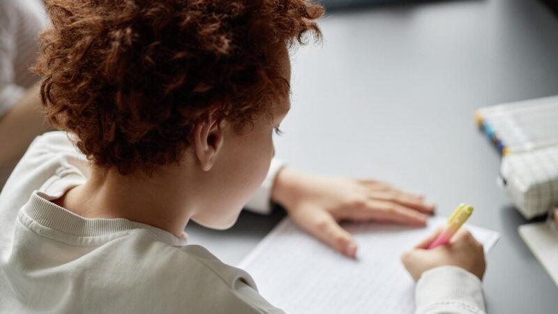 Zielona Kraina Przedszkoli: Oaza Spokoju w Siemianowicach Śląskich