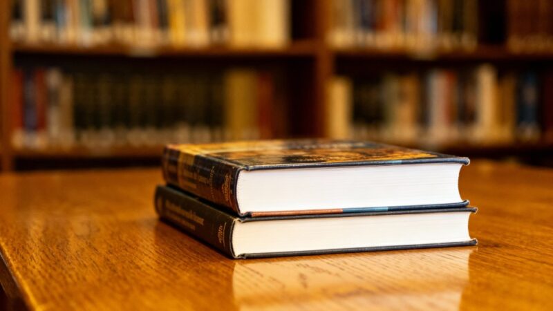 Pejzaże Moniki Kukuły – odkryj wystawę w Filii nr 19!