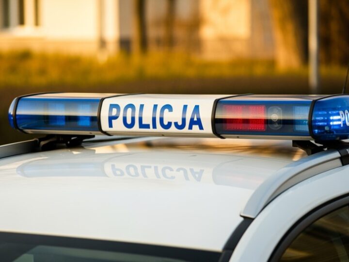 Drobna kradzież, wielkie kłopoty: 54-latek z Katowic aresztowany!