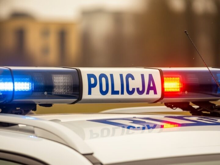 Zbój, nowy czworonożny policjant w Zabrzu, gotowy do akcji!