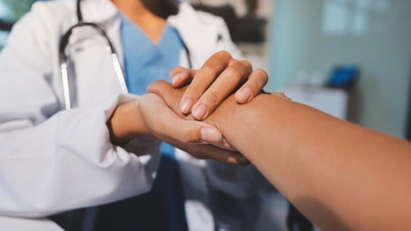 Zielarskie warsztaty: Regeneracja wątroby w Twórczym Siedlisku