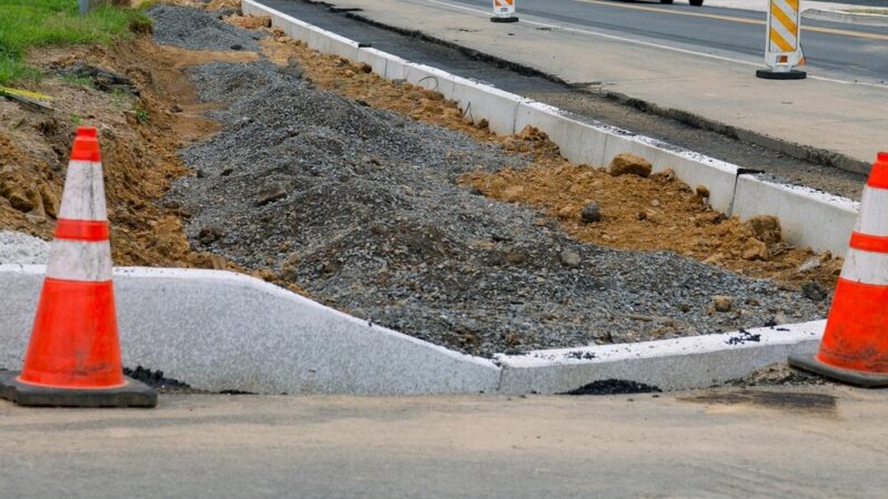 Zamknięcie ul. Piłsudskiego: Próba obciążeniowa topoli czarnej w sobotę