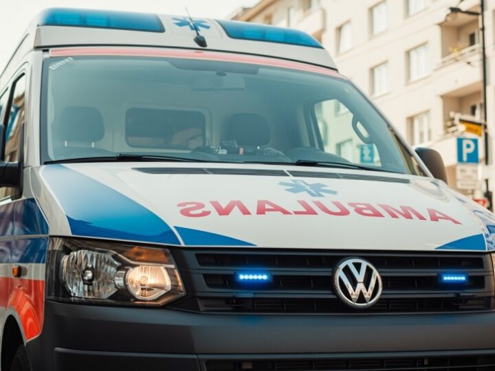 Międzynarodowe szkolenie psów ratowniczych w Ustroniu: kluczowe umiejętności dla służb ratunkowych