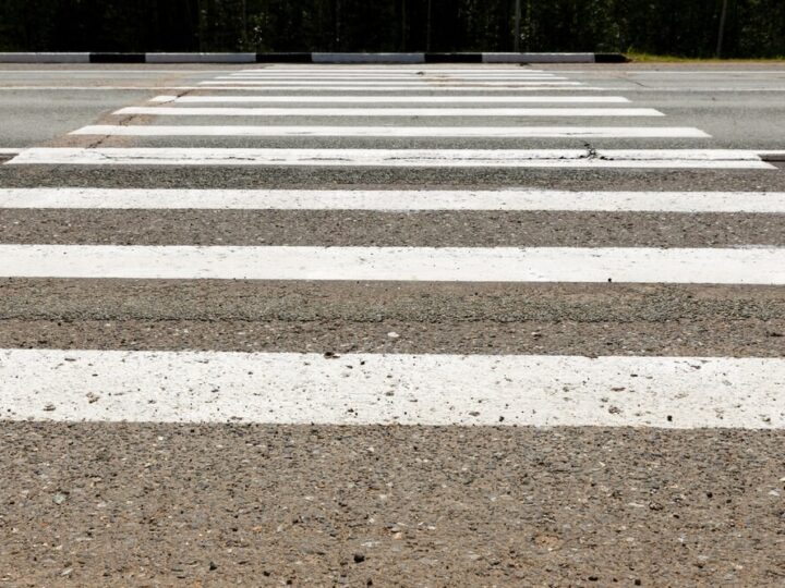 Policjanci ratują zagubionego psa z niebezpiecznej drogi krajowej