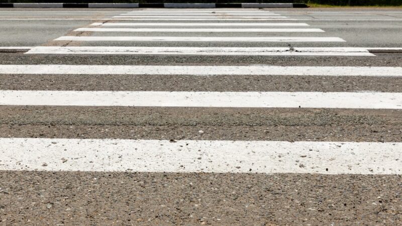 Policjanci ratują zagubionego psa z niebezpiecznej drogi krajowej