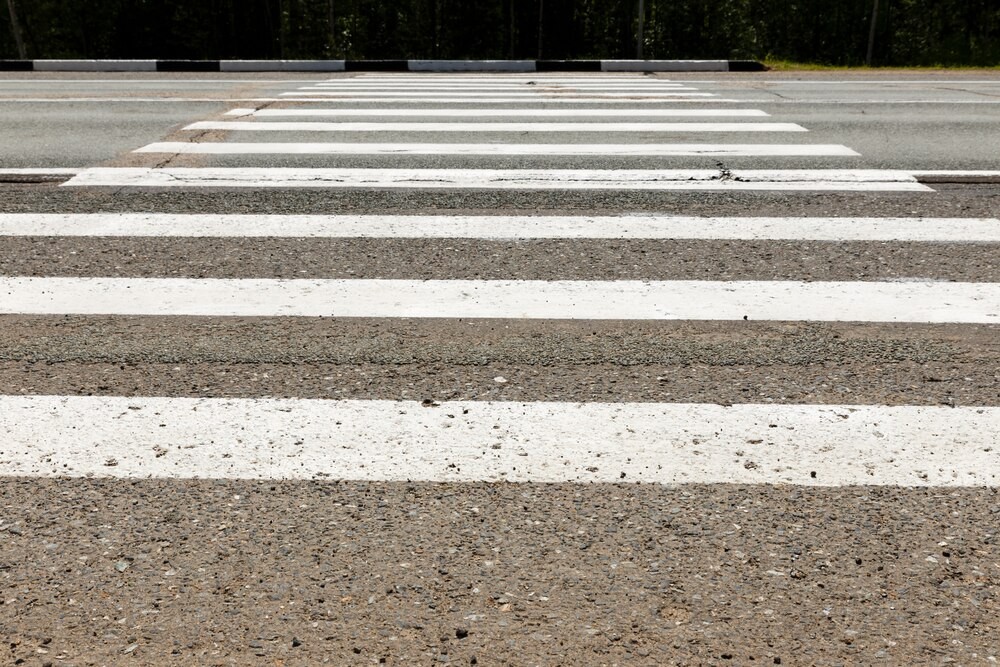 Policjanci ratują zagubionego psa z niebezpiecznej drogi krajowej