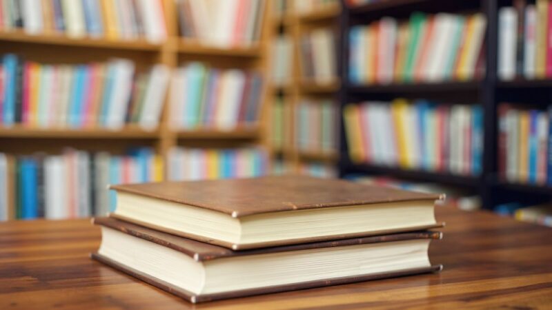 Kwitnące talenty i nowe nasadzenia przed chorzowską biblioteką