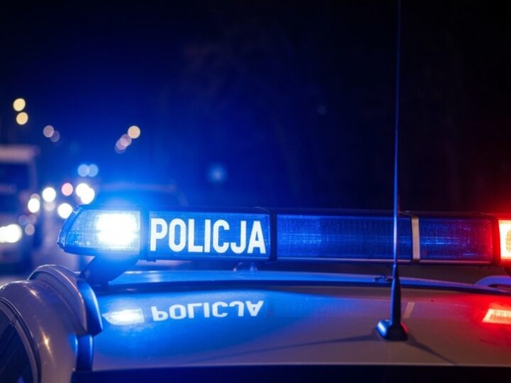 Pies Pirania z Katowic w akcji: złodziej kabli złapany dzięki tropowi!