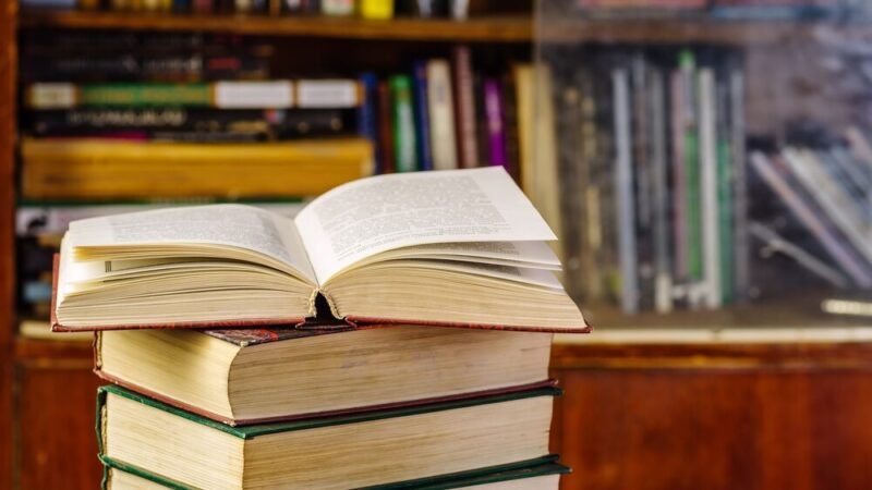 Chorzowska biblioteka z dziećmi świętuje Światowy Dzień Pszczół pełen twórczych przygód