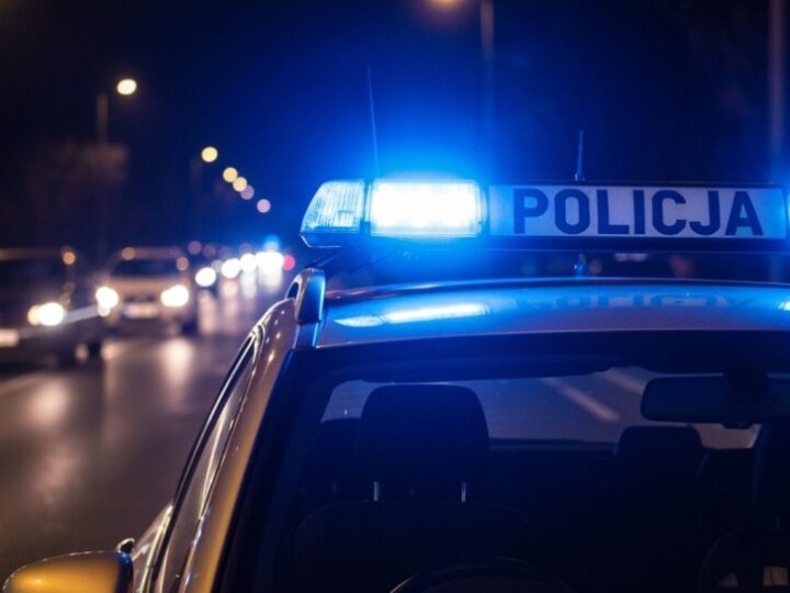 Policja ratuje zaniedbanego psa w Świętochłowicach, właścicielka odpowie za znęcanie się