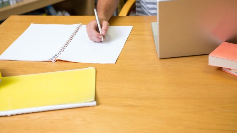 Edukacyjny ogród przy Szkole Podstawowej nr 16 w Bobrku z miododajnymi kwiatami