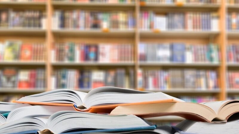 Młode czytelniczki odkrywają sekrety biblioteki Policji w Katowicach