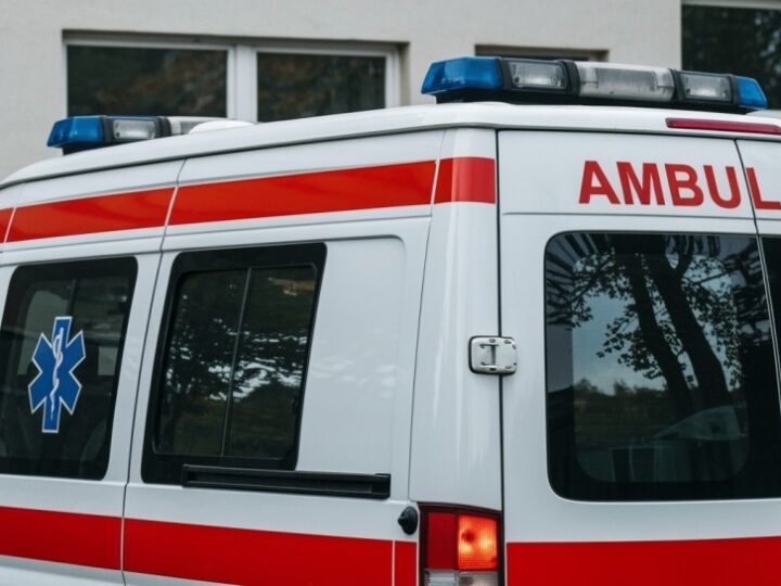 Policjanci ratują yorka w skwarze upału