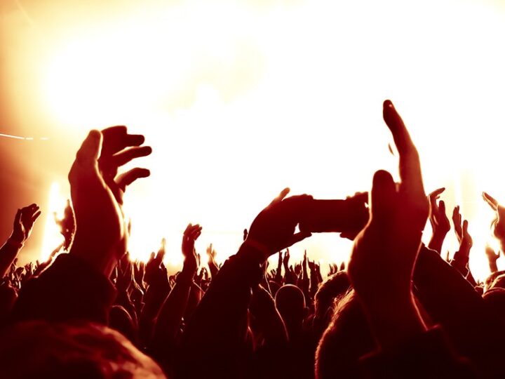 Zgłoś swoją organizację na Festiwal NGO w Katowicach!