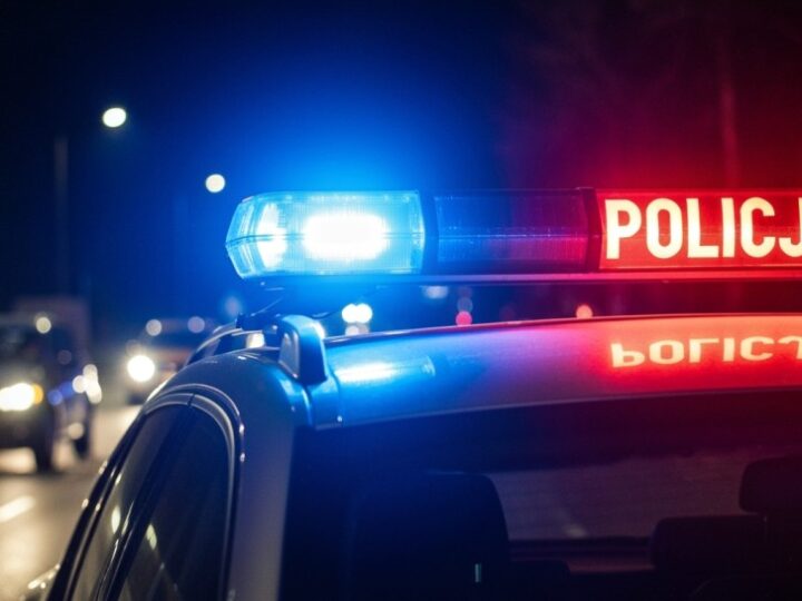 Wspólne patrole policji i straży miejskiej z czworonożnymi pomocnikami w Katowicach
