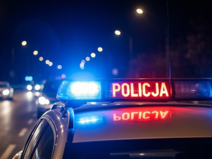 Niebezpieczny kierowca z trzema zakazami i niecałymi czterema miesiącami do odsiadki