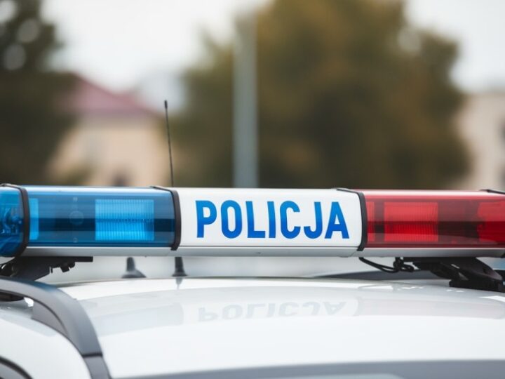 Deportacja obywatela Ukrainy po serii przestępstw w Polsce