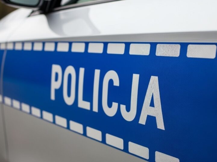 Egzotyczny pyton odkryty w piwnicy. Policja zabezpiecza węża