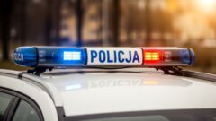 Kobiór: nocne poszukiwania po znalezisku w lesie