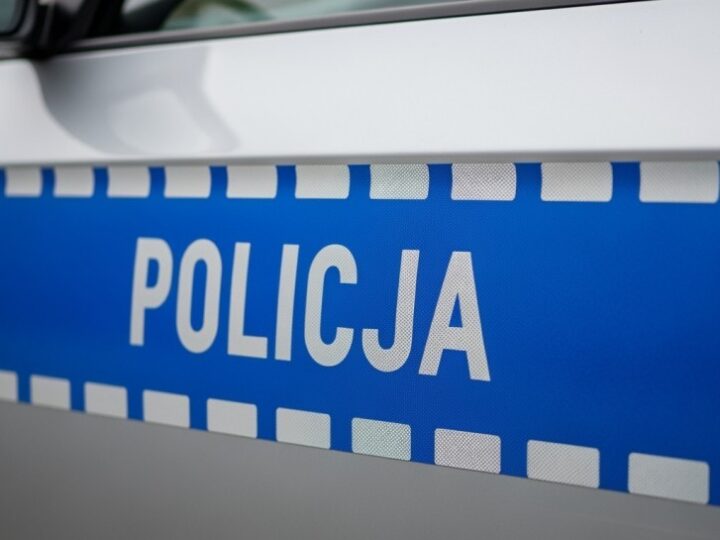 Policjanci ratują jeża z ruchliwej ulicy!