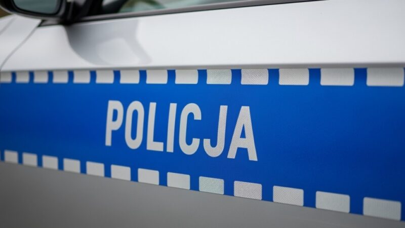 Policjanci ratują jeża z ruchliwej ulicy!